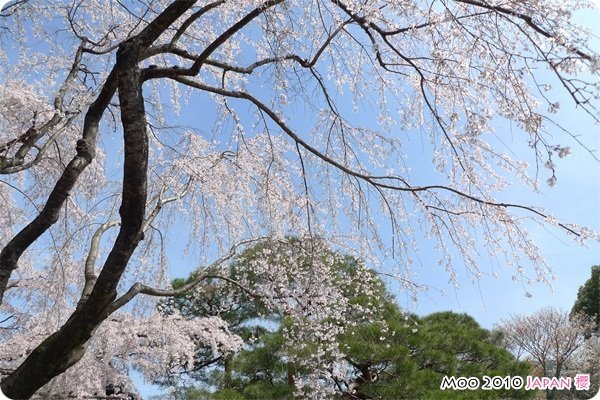醍醐寺