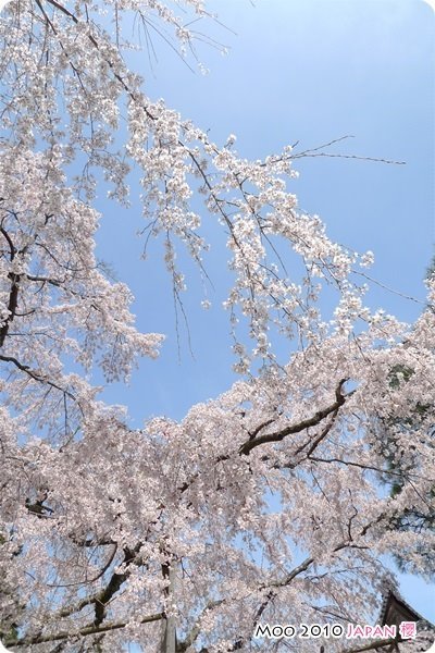 醍醐寺