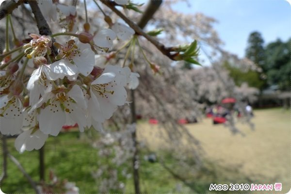 醍醐寺