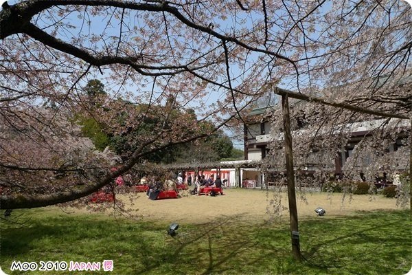 醍醐寺