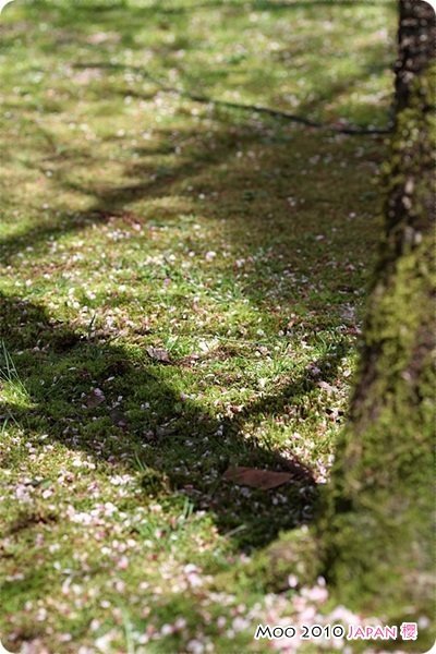 醍醐寺