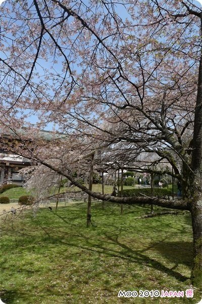 醍醐寺