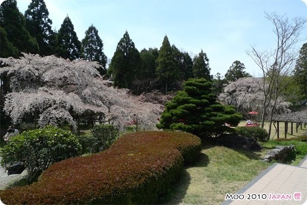 醍醐寺
