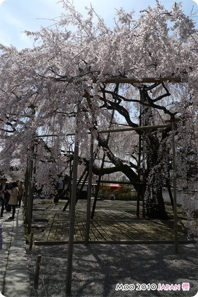 醍醐寺