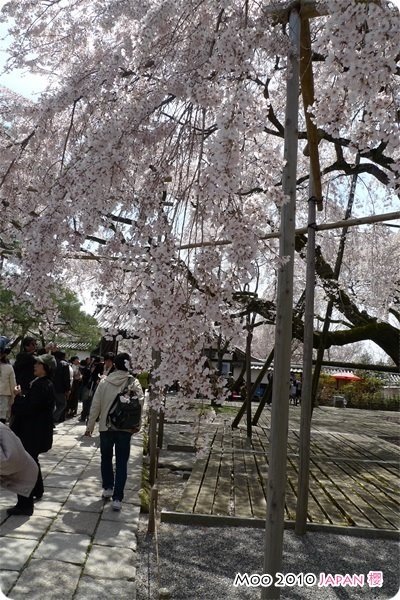 醍醐寺