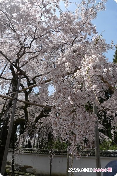 醍醐寺