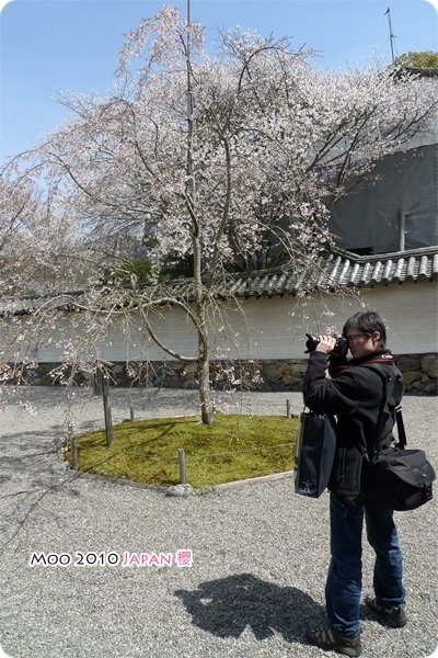 醍醐寺