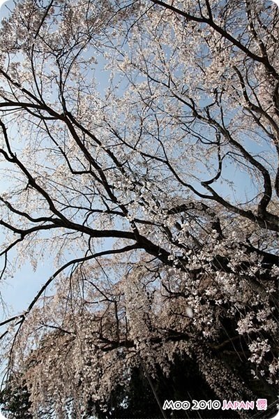 醍醐寺