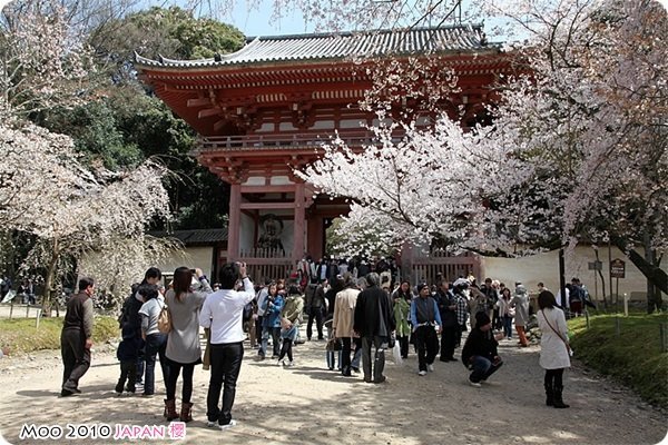 醍醐寺