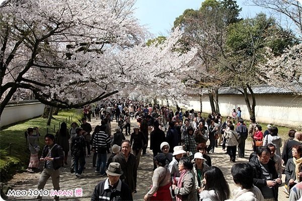 醍醐寺