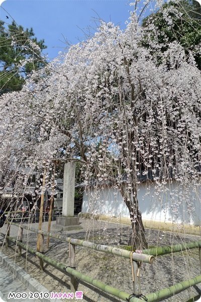 醍醐寺