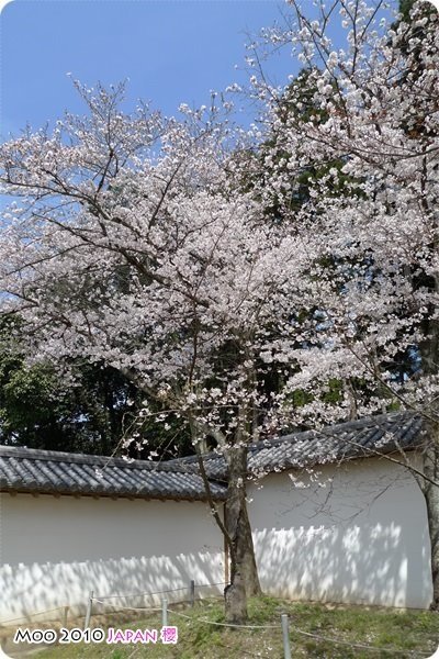 醍醐寺