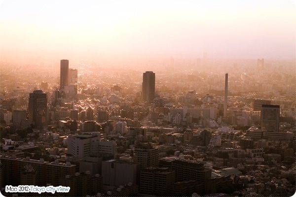 TOKYO city view