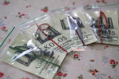 捷克 戰利品-17