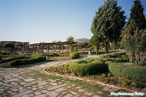 Natura 那秋。Turkey Pamukkale-4