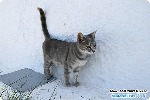 Santorini Fira 街景-4