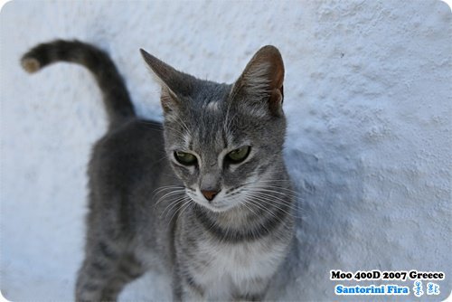 Santorini Fira 街景-3