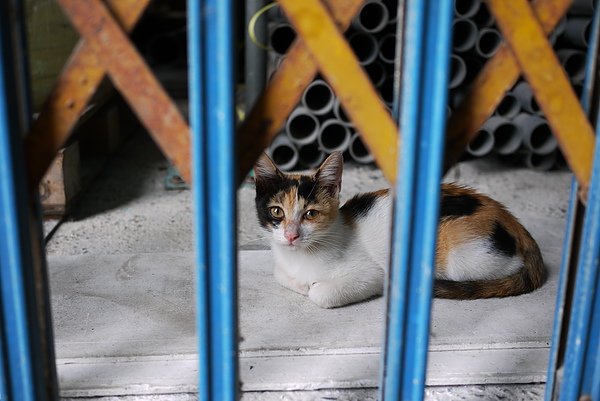 P1040885.JPG