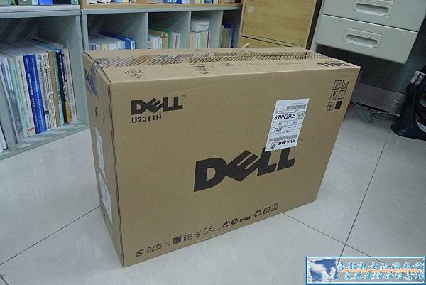 P1040711.JPG