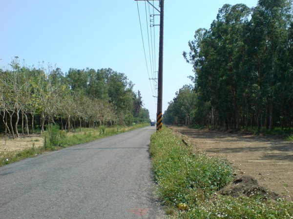 虎山路拓建(5/9)