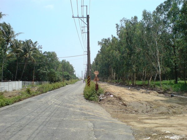 虎山路拓建(6/6)