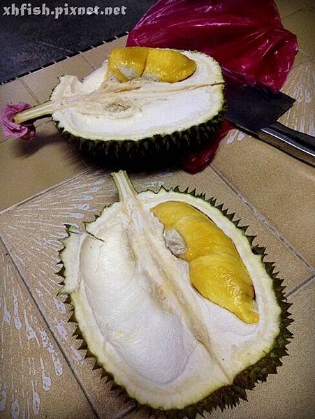 durian_11