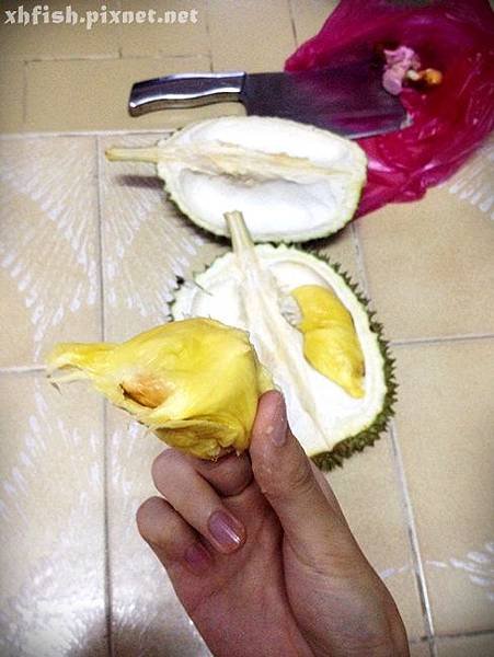 durian_7