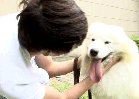 俊秀 kiss