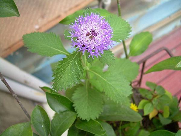 20120416 (7)