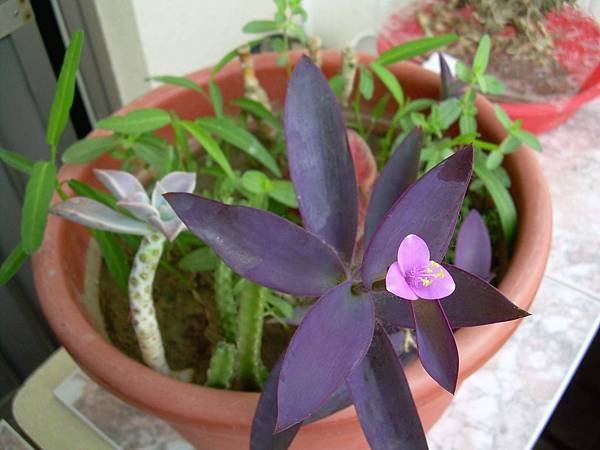 20120914 (1)