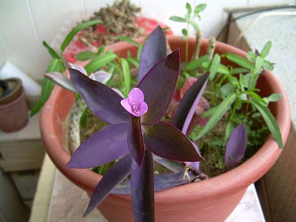 20120914 (14)