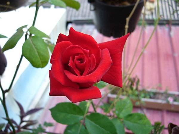 201302003 (0)