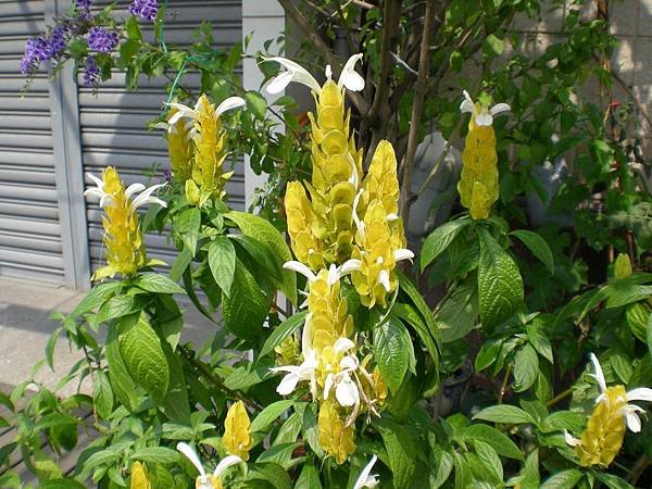 20130423 (6)
