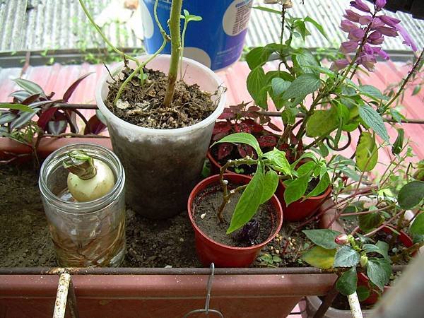 20130425 (16)