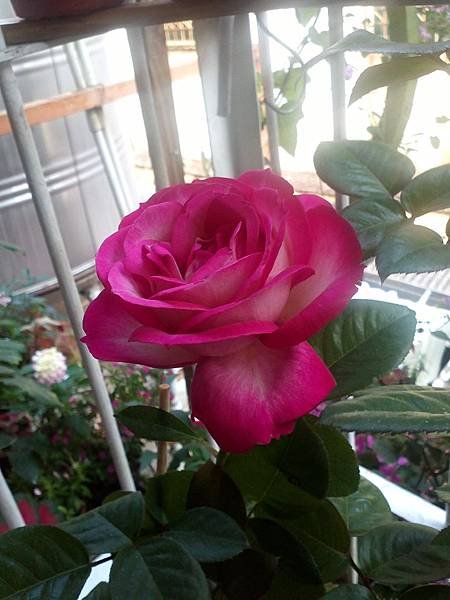 20140419 (62).jpg