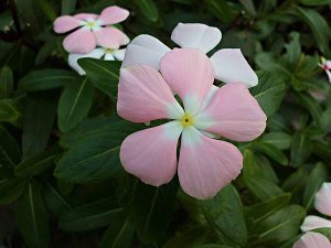 20140613 (0).jpg