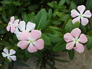 20140613 (1).jpg