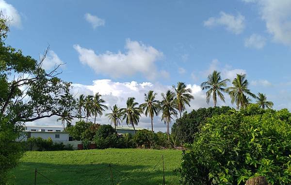 IMG_20220721_163038_3.jpg
