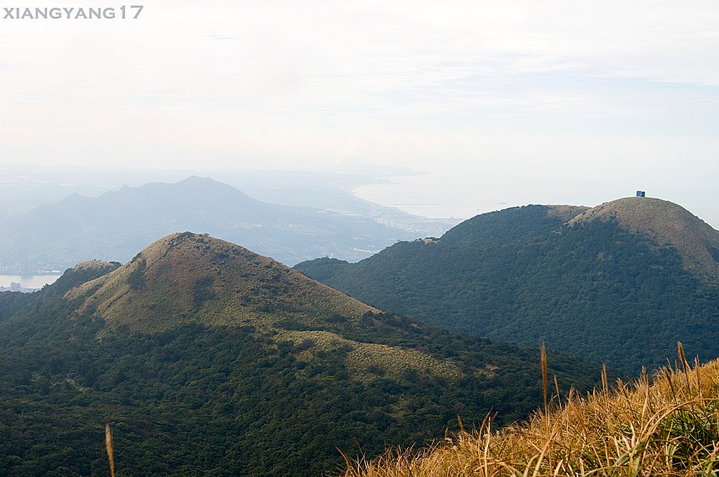 DSC_3231.jpg