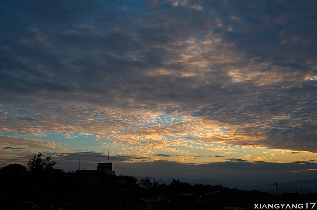 DSC_3336.jpg