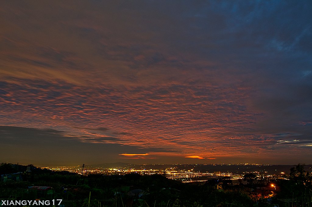 DSC_3460.jpg