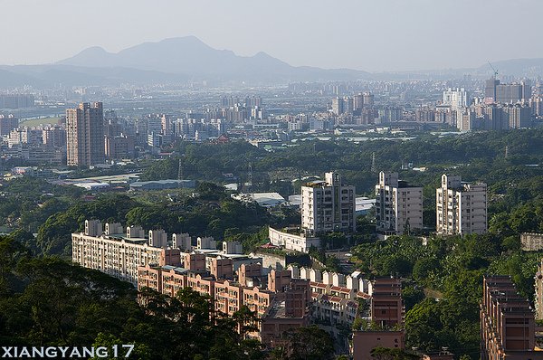 承天禪寺視野