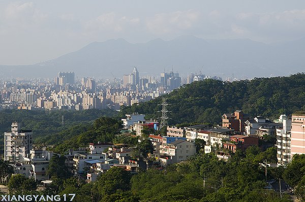 承天禪寺視野