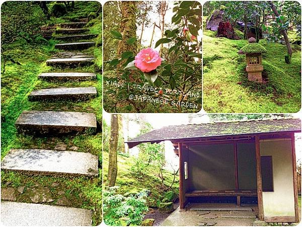 IMG_3605_Fotor_Collage_Fotor