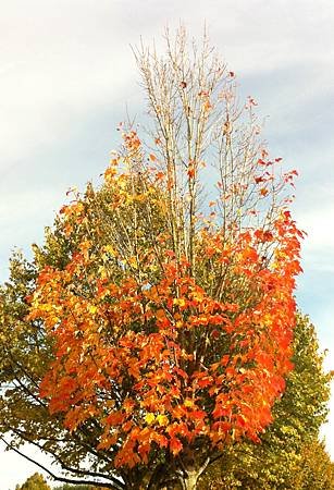 15a7ec50.jpg