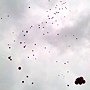 图像2012.jpg