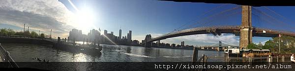 IMG_4910.JPG