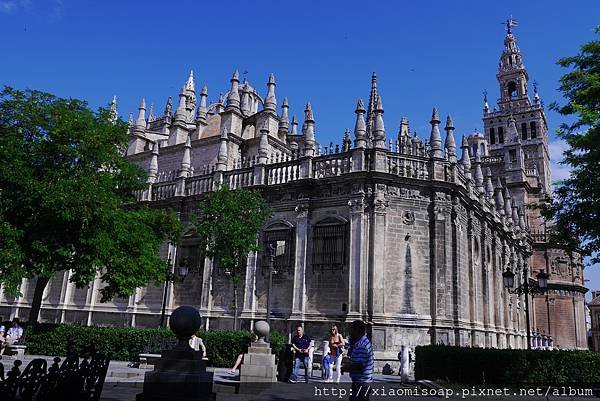 P1040882.JPG