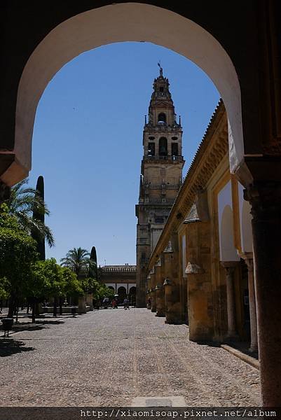 P1050640.JPG