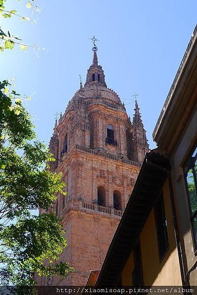 P1060619.JPG